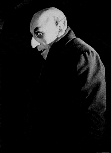 NOSFERATU — recovered surface footage